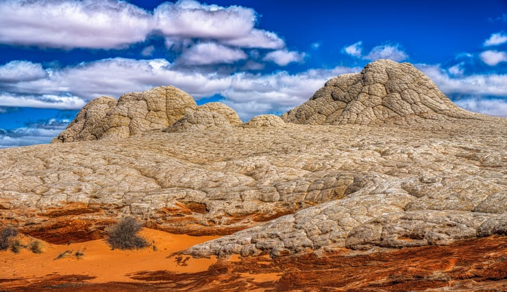 THE POWER OF PLACE, 2021