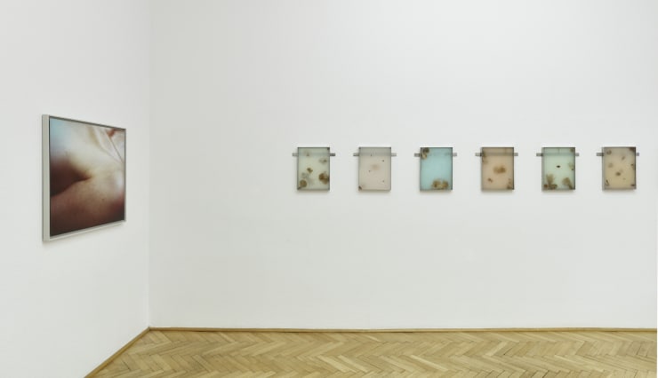 Impex 2023 06 Comp 2