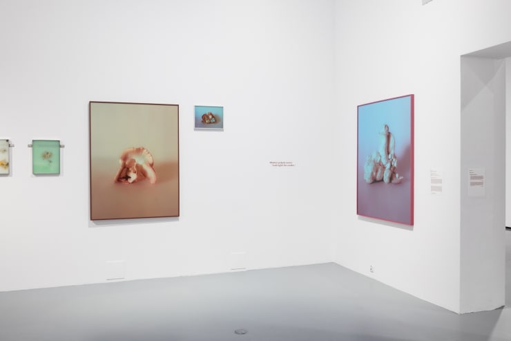 Mia Dudek at CCA Zamek Ujazdowski