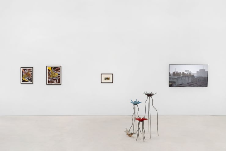 Veronika Hapchenko at Voloshyn Gallery