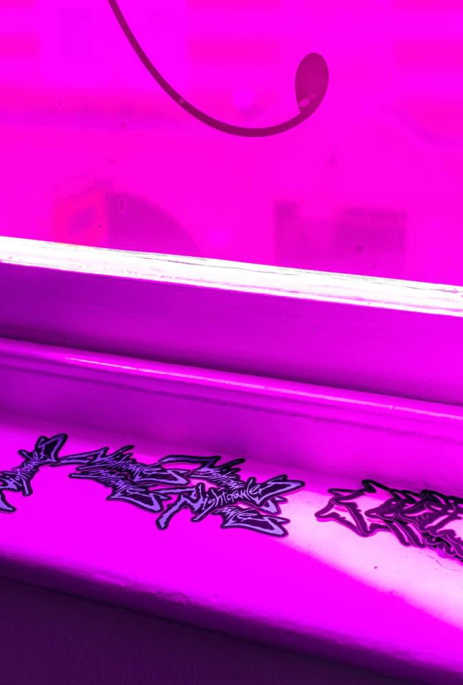 Nightcrawlers sticker, 2025