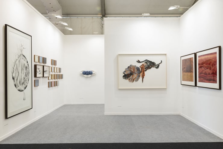 India Art Fair