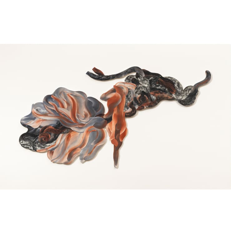Garima Gupta, Bergenia ciliata, 2025