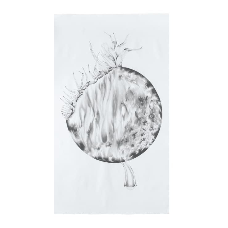 Apnavi Makanji, PARALLAX series: GHOST PALM, 2024