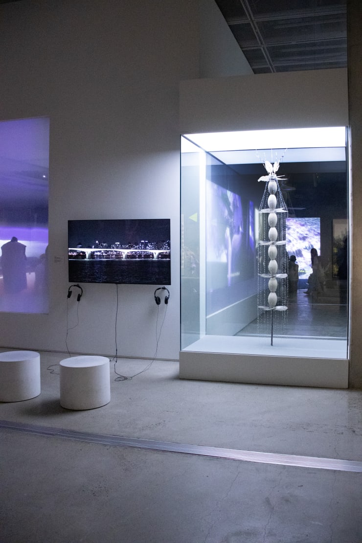Minouk Lim. The Possibility of Half Portable Keeper — Anitya, 2012.