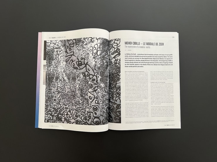 Graffiti Art Magazine #68, Mehdi Cibille aka Le Module De Zeer