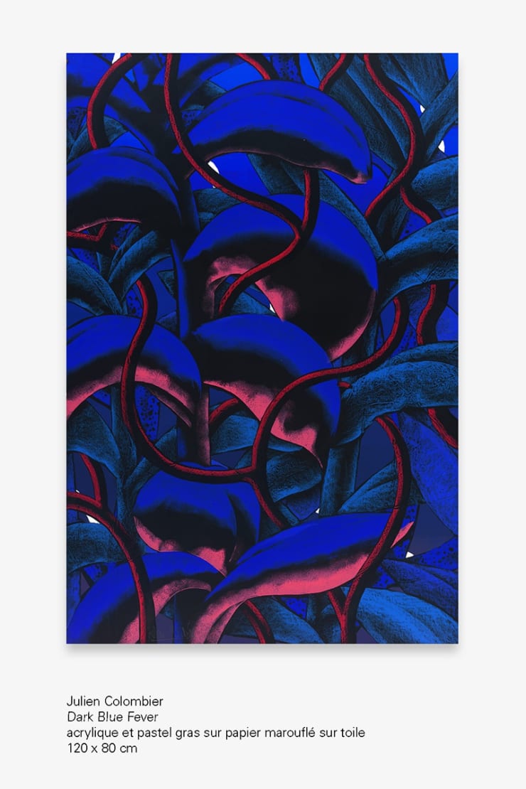 Julien Colombier, Dark Blue Fever, Le Feuvre Roze
