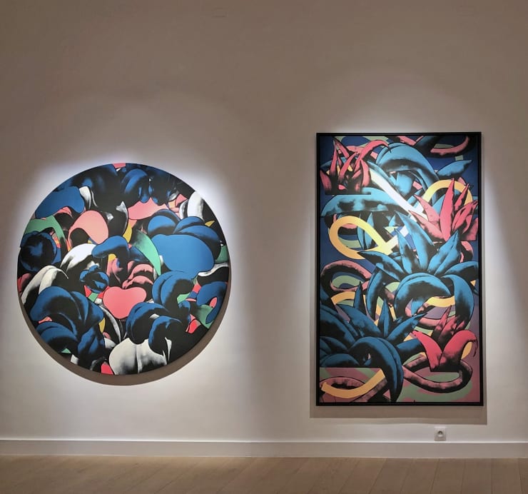Julien Colombier, Messing with the blue, 2019
