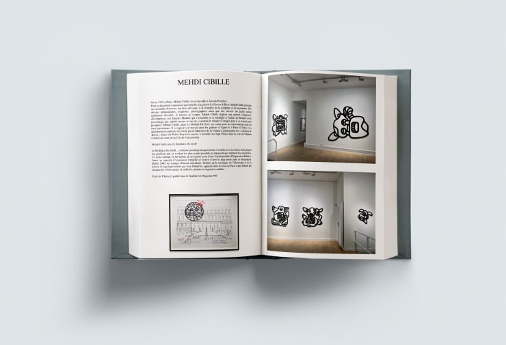 Le Feuvre & Roze Yearbook 2023, Mehdi Cibille, Le Module De Zeer