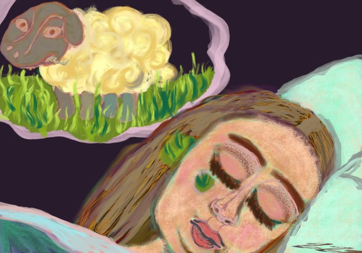 Sheep Dreams, 2016.