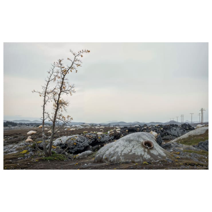 Ben Millar Cole, After ‘A Sudden Gust of Wind (after Hokusai)’, 2024