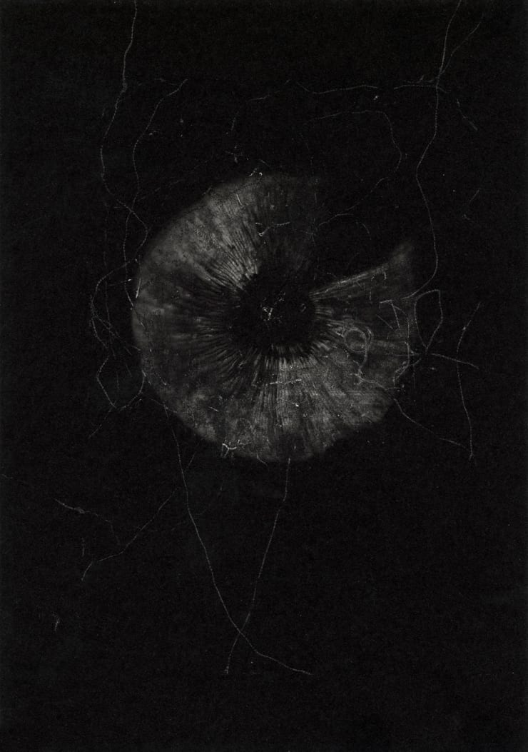 Phillipa Klaiber & Michael Swann, Compost Untitled, 2022