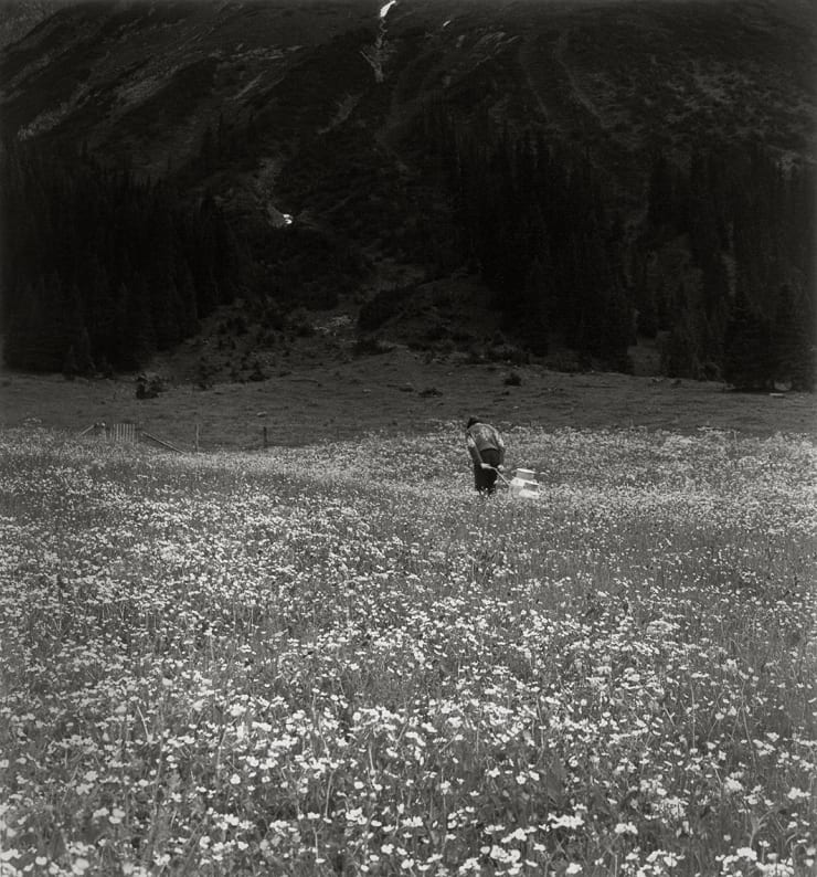 Konrad Rufus Müller, Hermann Muxel, 1994