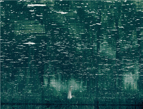 Axel Hütte, Portrait#19, 2004