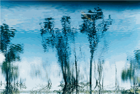 Axel Hütte, San Fernando de Atabapo, Venezuela, 2007