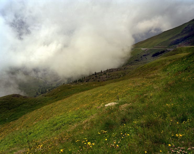 Margherita Spiluttini