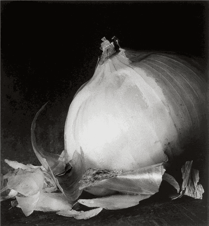 Konrad Rufus Müller, Cipolla di Positano, 1998