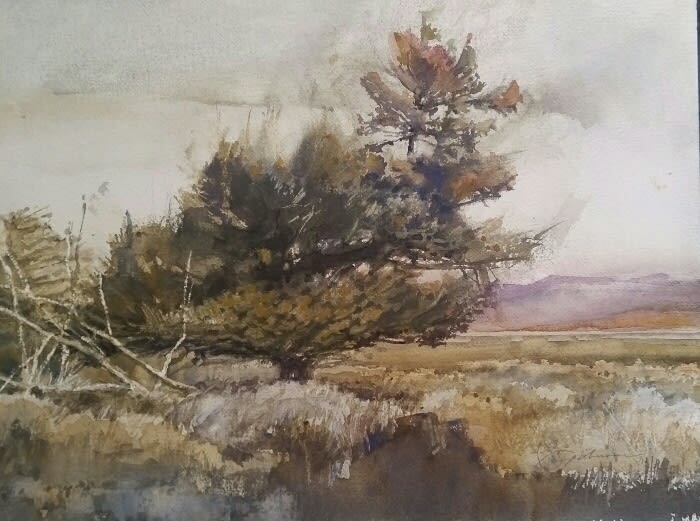 CRAIG SPILMAN, Broken Tree, 2011