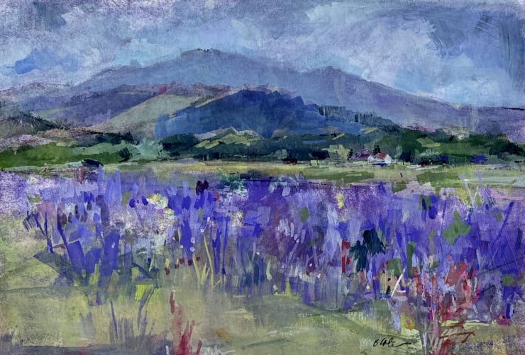 Bets Cole, Lavender Mountains