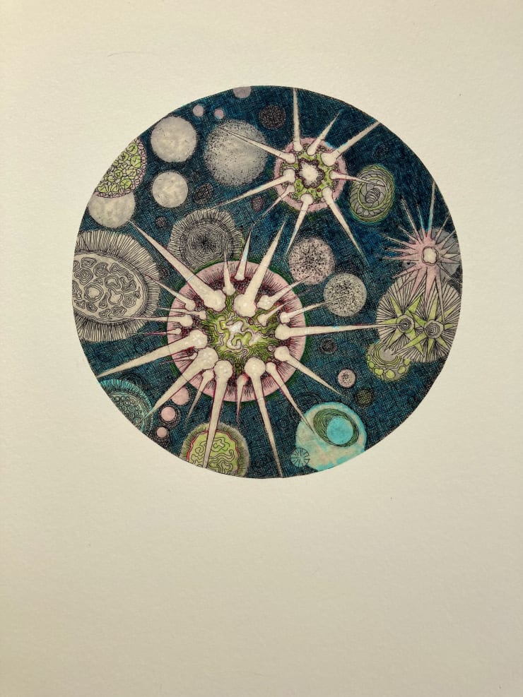 Tallmadge Doyle, Algae Universe VII