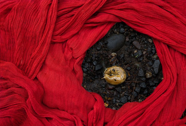 NAEEMEH NAEEMAEI, JAAN #5