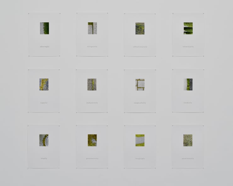 Libby Wadsworth, Embracing - Suite of 12, 2023