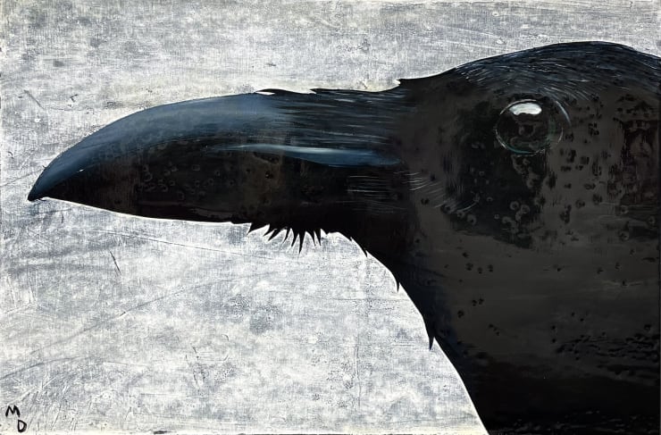 Matthew Dennison, Raven