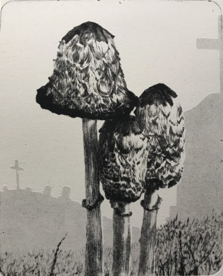 Heather Halpern, Spiritual Growth IV [Shaggy Mane]