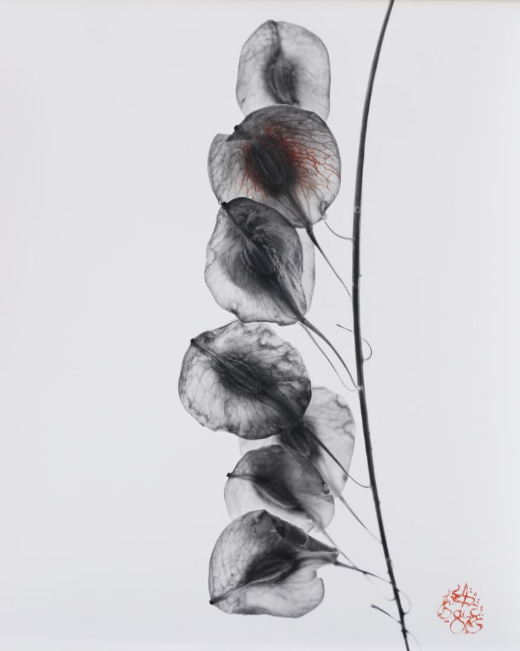 NAEEMEH NAEEMAEI, Arterioles #13 , 2023