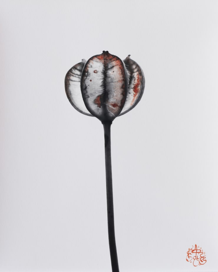 NAEEMEH NAEEMAEI, Arterioles #14, 2023