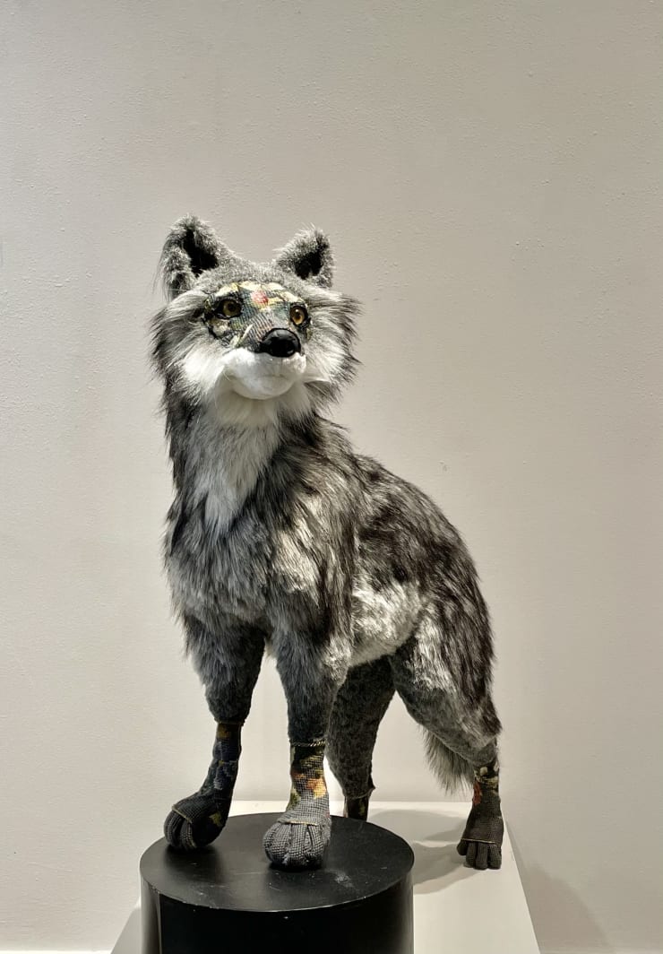 Marjorie Taylor, Luna (the young wolf)