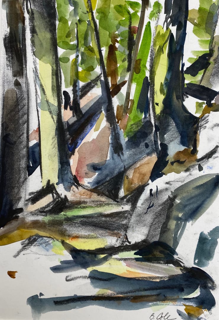 Bets Cole, Cleetwood Trail - Crater Lake