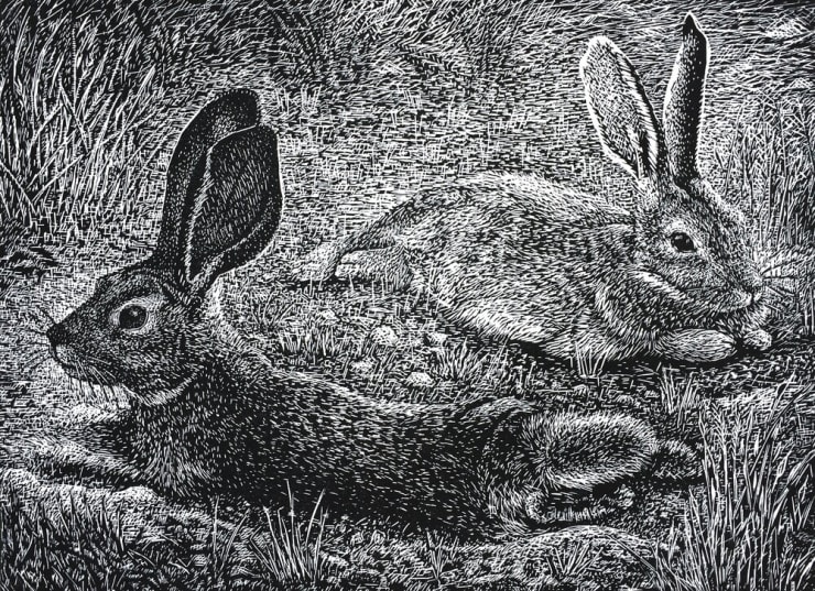 Marit Berg, Two Young Jacks, 2018