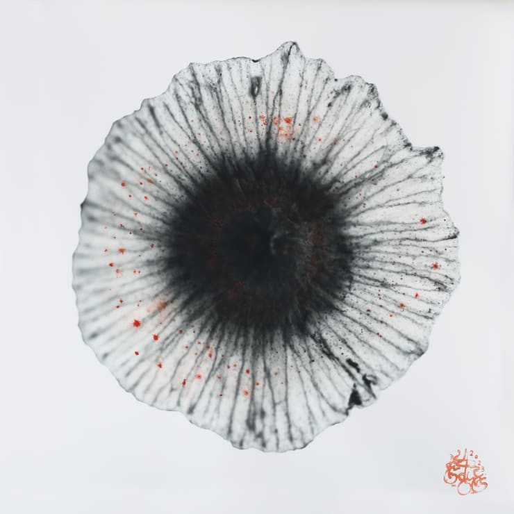 NAEEMEH NAEEMAEI , Arterioles #24, 2023