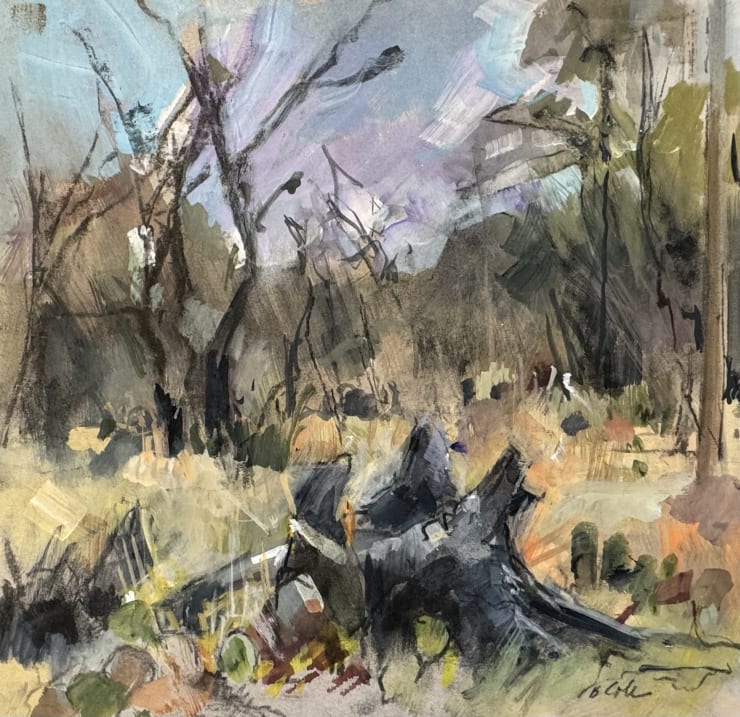 Bets Cole, Texas Tangle