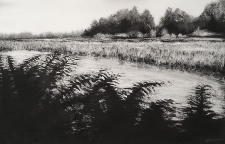 Heather Halpern, Fern Ridge