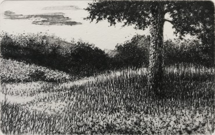 Printmaker Heather Halpern "New Prints" at the Gordon location