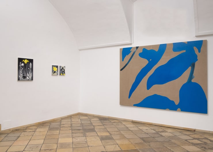 DEAD FLOWER Group Exhibition