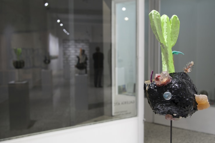 Nicolás Laiz Placeres