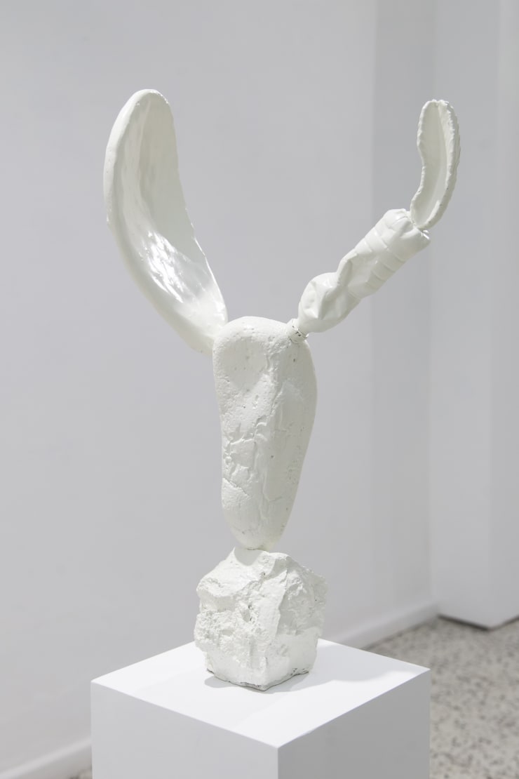 Expo Summer Forms 20