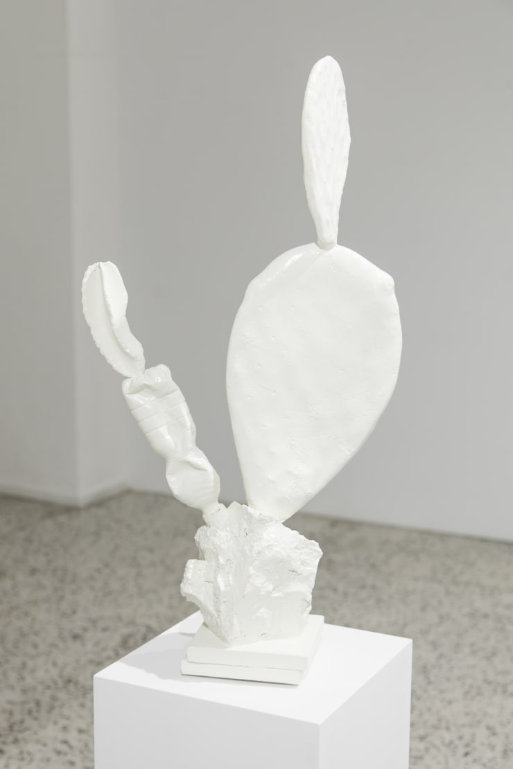 Expo Summer Forms 37