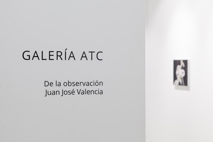 Expo Juan Jose Valencia 02