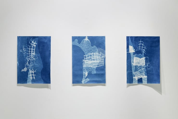 Expo Blue Womb 37 Lr