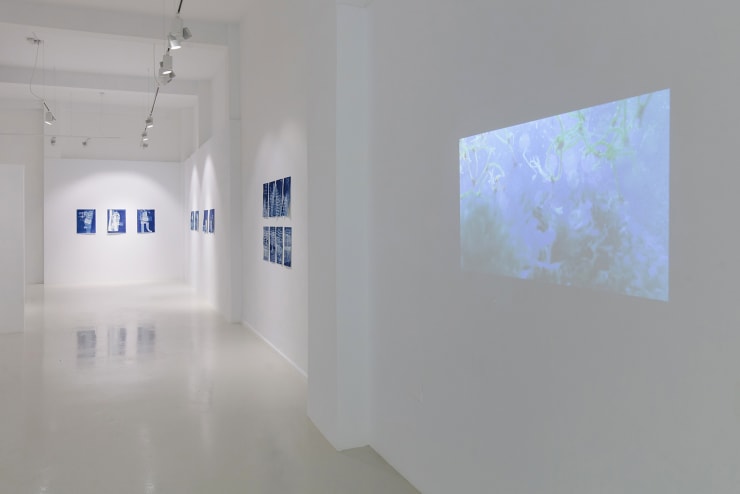 Expo Blue Womb 48 Lr