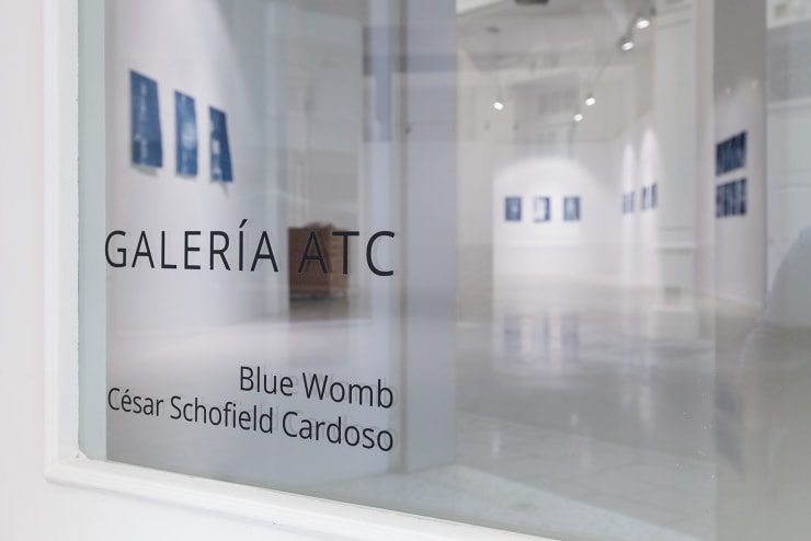 Expo Blue Womb 55 Lr