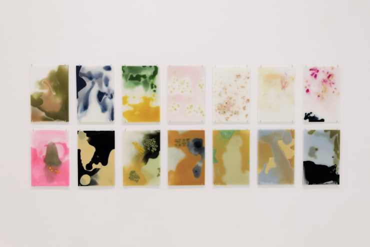 Summer Shorts 16 Editada