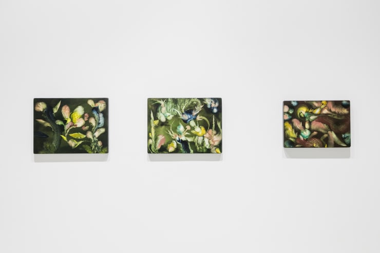 Expo Colorido Enga O 08