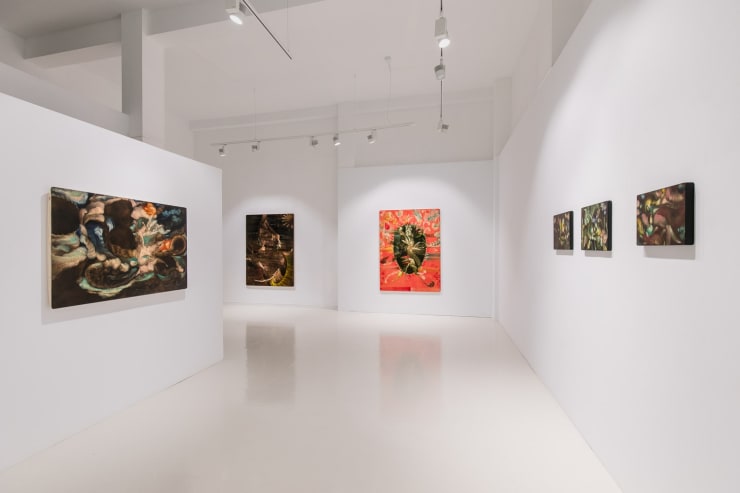 Expo Colorido Enga O 23