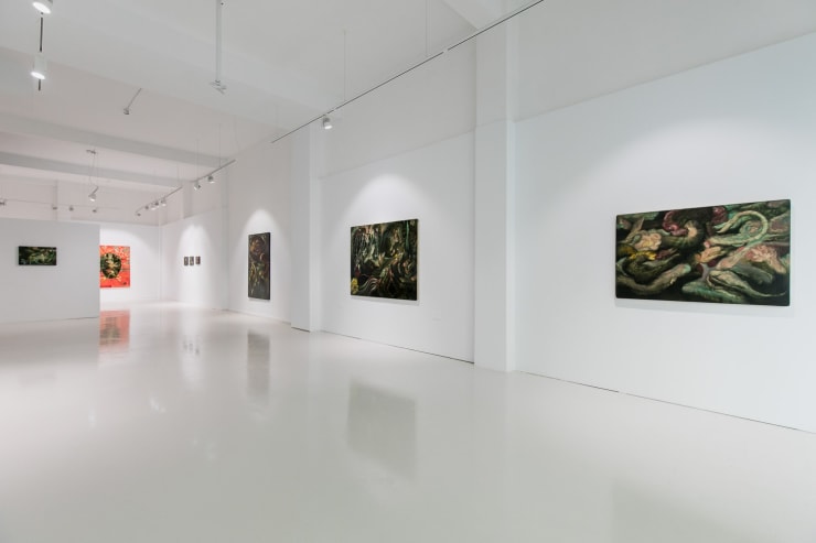 Expo Colorido Enga O 30