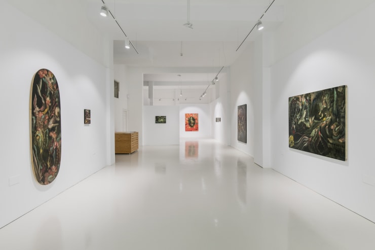 Expo Colorido Enga O 31